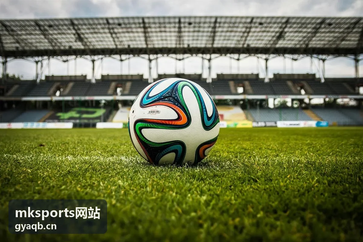 mksports网站装备服务与器材参数示意